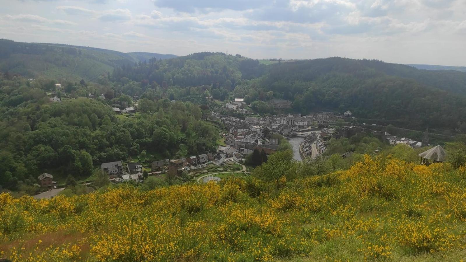 Willa Le Panorama La-Roche-en-Ardenne Zewnętrze zdjęcie